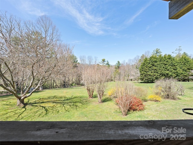 140 Hangin Dog Ln, Lake Toxaway, NC 28747 - view of yard