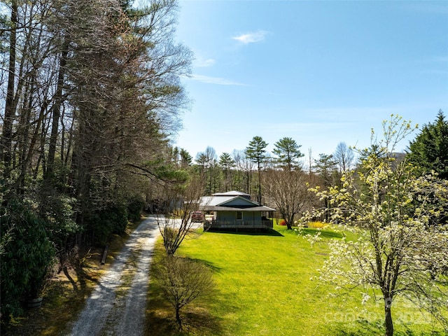 140 Hangin Dog Ln, Lake Toxaway, NC 28747 - view of yard featuring a forest view, dirt driveway, and a porch
