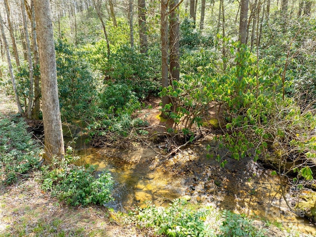 140 Hangin Dog Ln, Lake Toxaway, NC 28747 - view of local wilderness with a forest view