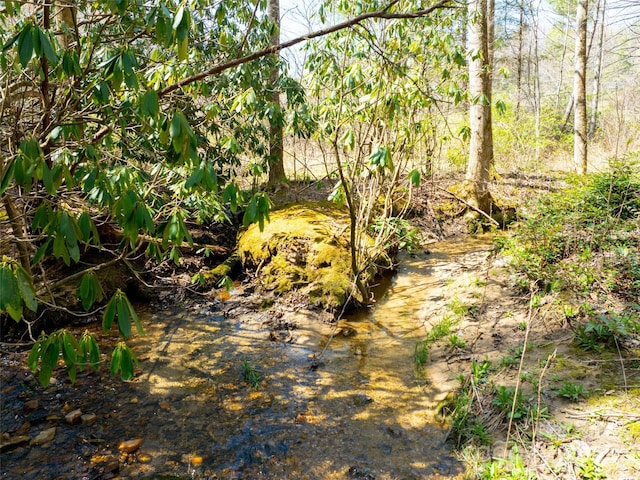 140 Hangin Dog Ln, Lake Toxaway, NC 28747 - view of local wilderness