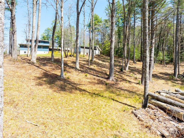 140 Hangin Dog Ln, Lake Toxaway, NC 28747 - view of yard