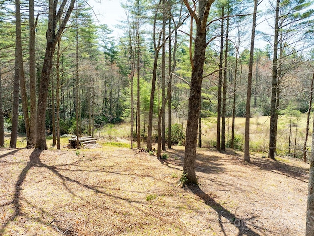 140 Hangin Dog Ln, Lake Toxaway, NC 28747 - exterior space with a forest view