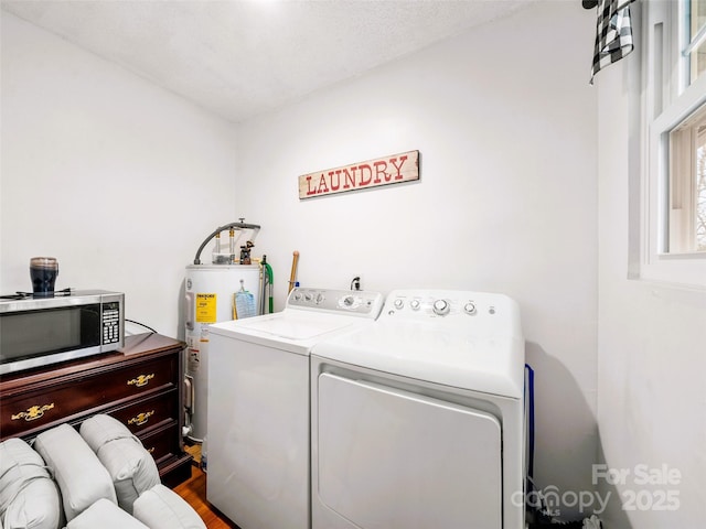 laundry room with washer and dryer, dark wood-type flooring, water heater, and laundry area