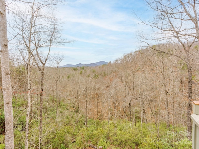 view of mountain feature featuring a wooded view