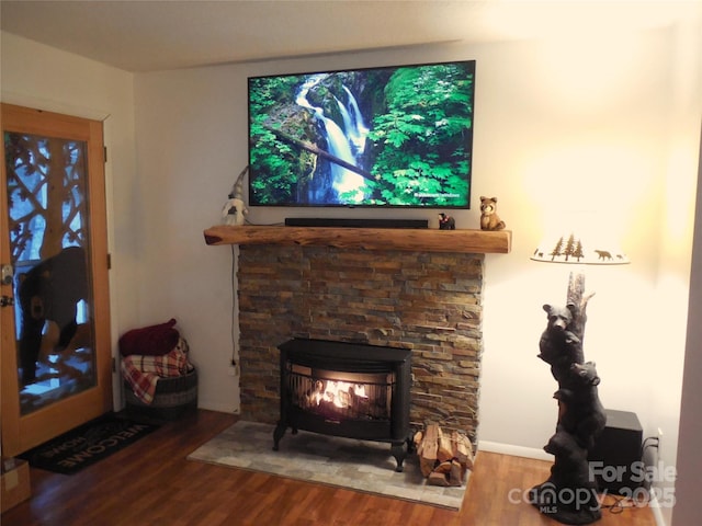 interior space featuring a wood stove and wood finished floors