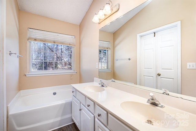 bathroom featuring a sink, plenty of natural light, and a bath