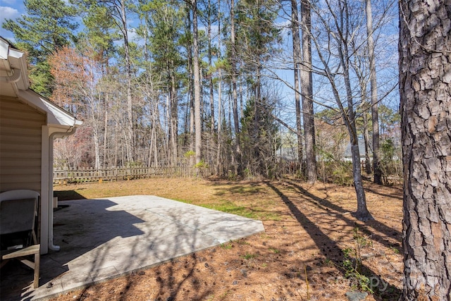 view of yard featuring a patio area and fence