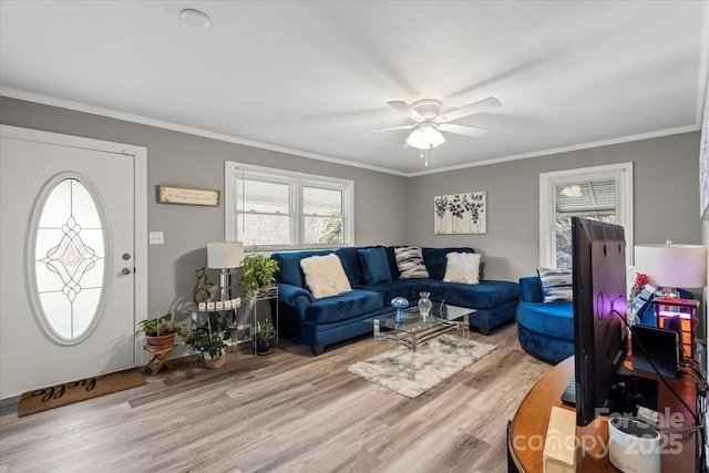 living area with light wood-style flooring, a ceiling fan, and ornamental molding