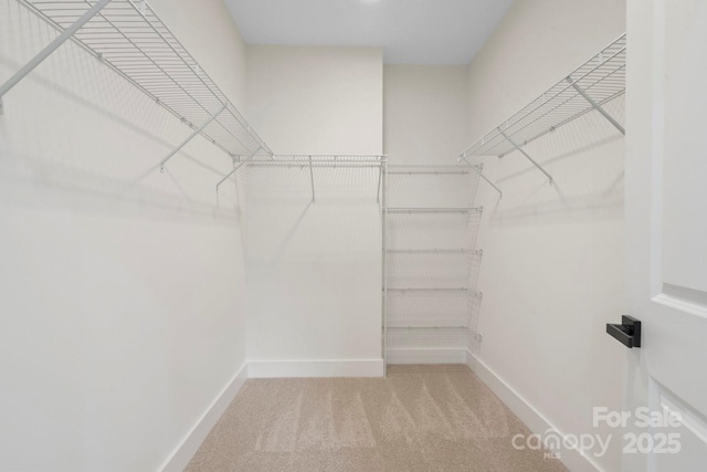 10405 Briarhurst Pl Unit 18, Mint Hill, NC 28227 - spacious closet with carpet flooring