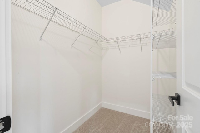 10405 Briarhurst Pl Unit 18, Mint Hill, NC 28227 - spacious closet with carpet flooring