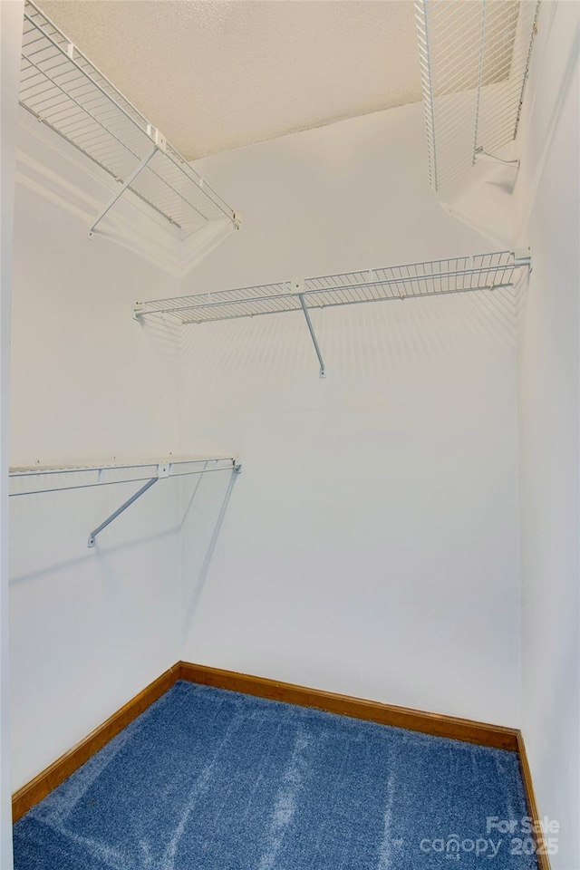 walk in closet featuring carpet