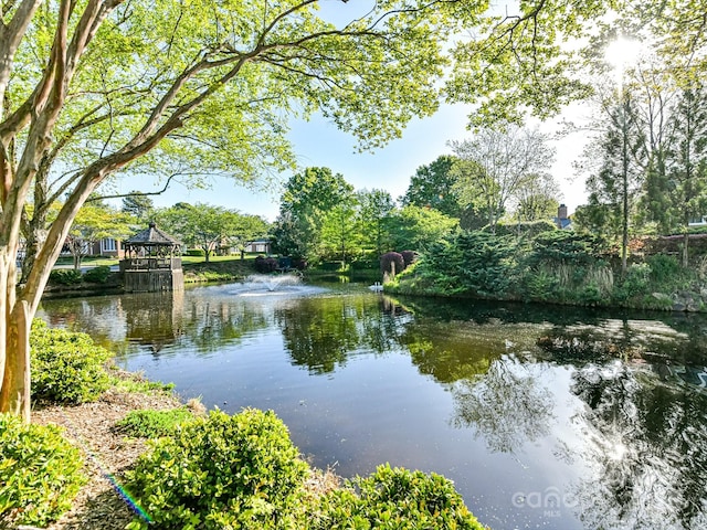 property view of water