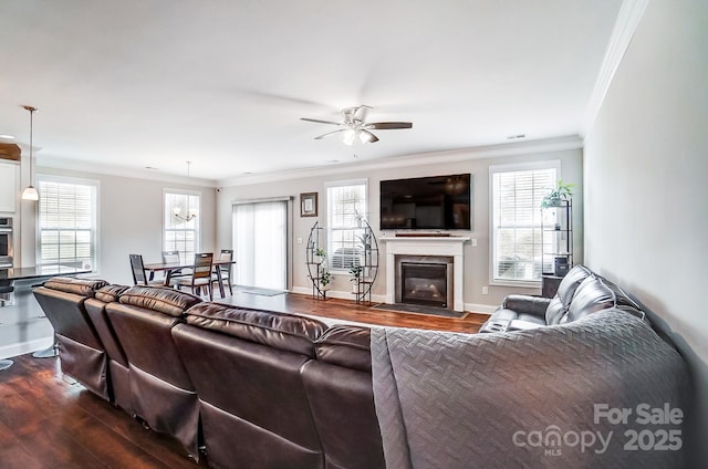 living room featuring a ceiling fan, a glass covered fireplace, dark wood finished floors, and crown molding