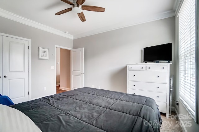 bedroom featuring ceiling fan, baseboards, carpet floors, and ornamental molding