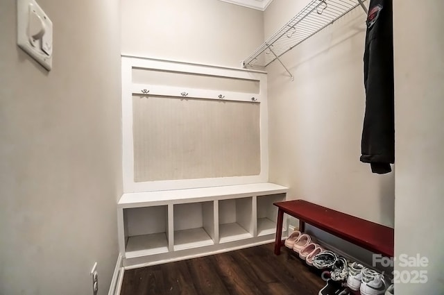 mudroom featuring wood finished floors