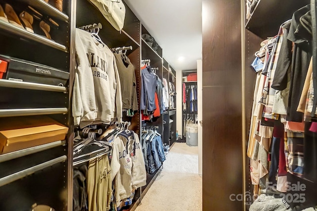 walk in closet featuring carpet floors