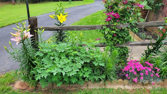 exterior space with a yard