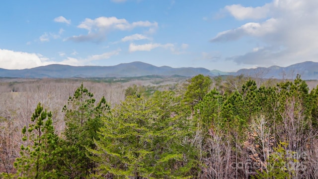 mountain view featuring a forest view