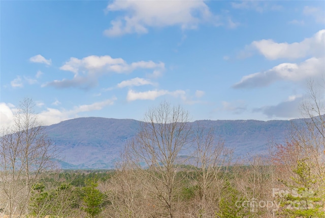 view of mountain feature