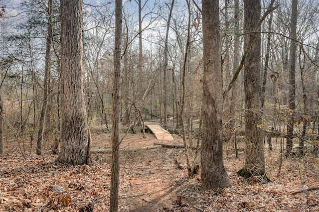 view of landscape with a view of trees