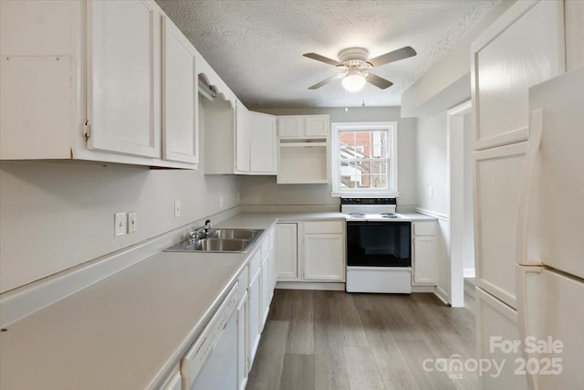 kitchen featuring white cabinetry, white appliances, wood finished floors, and a sink