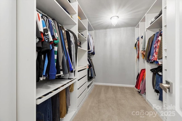 spacious closet featuring light colored carpet