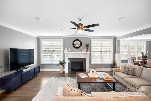 living area with ceiling fan, wood finished floors, a fireplace, and ornamental molding