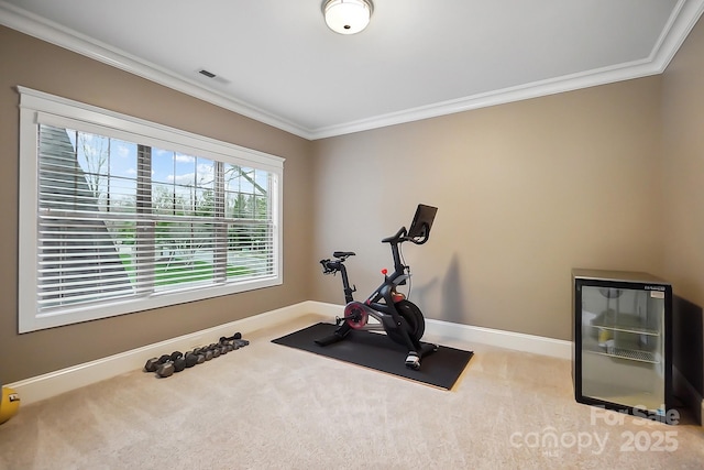 workout room with visible vents, baseboards, carpet flooring, and crown molding