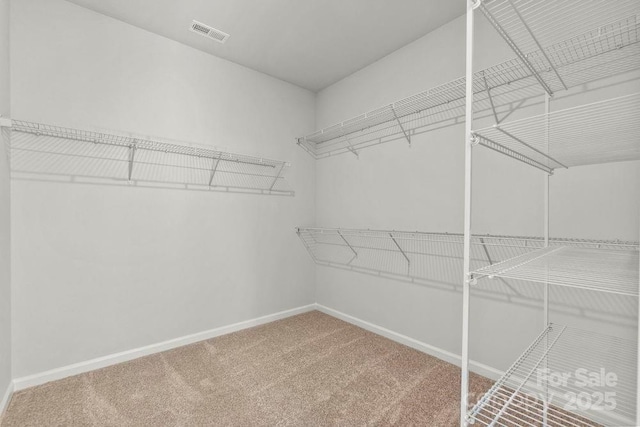 walk in closet featuring visible vents and carpet