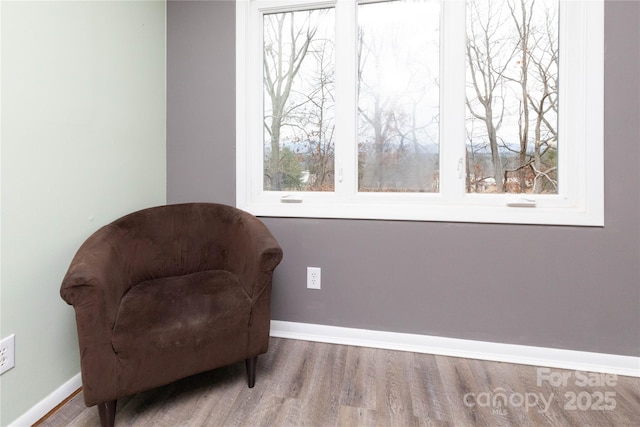22 Hollybrook Dr, Asheville, NC 28803 - photo 12