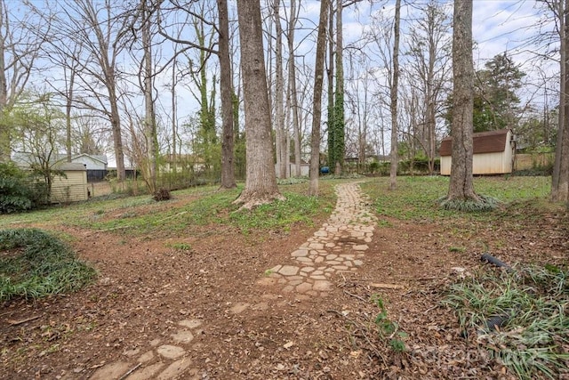 view of yard with a storage shed and an outdoor structure