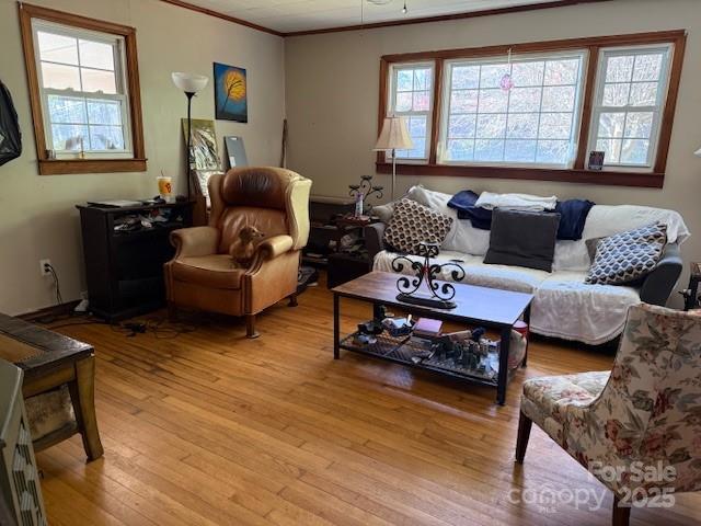 living room with crown molding, plenty of natural light, and light wood finished floors