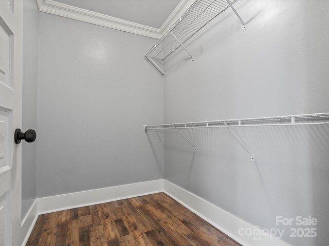 149 Crescent Dr, Chesterfield, SC 29709 - spacious closet with dark wood-style floors