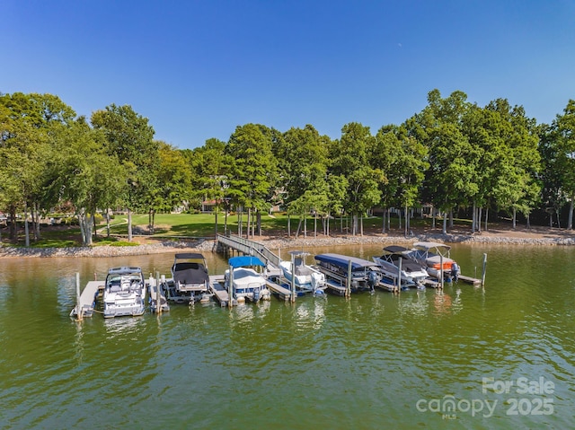 dock area featuring a water view