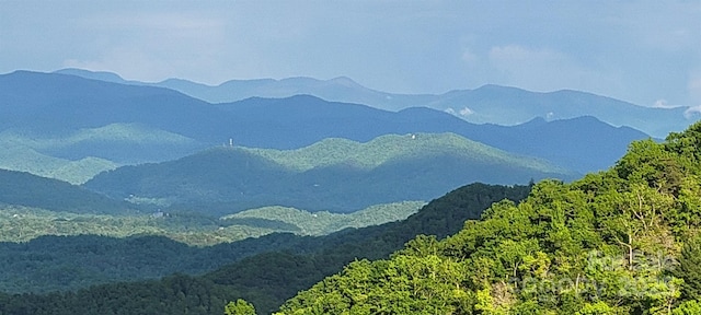 property view of mountains featuring a forest view