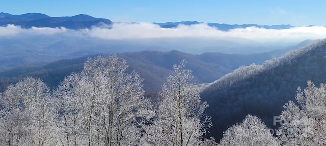 view of mountain feature featuring a forest view