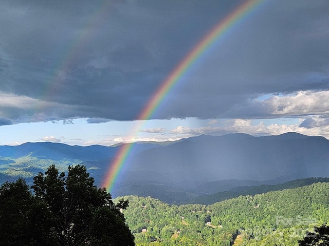 property view of mountains with a wooded view