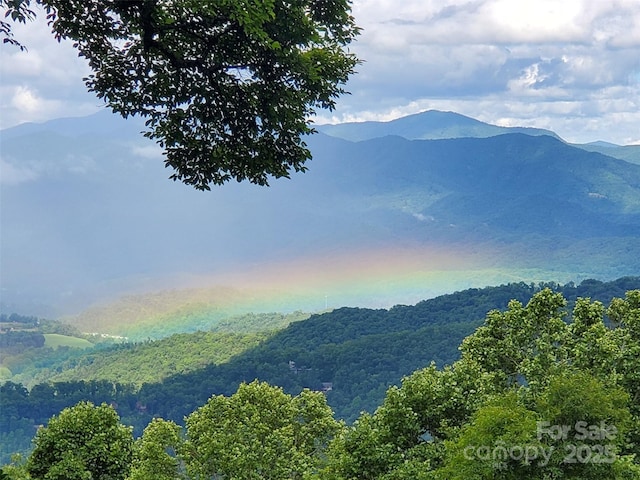 view of mountain feature featuring a wooded view