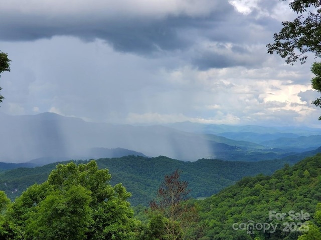 view of mountain feature featuring a view of trees