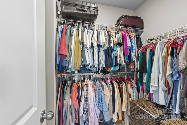 view of spacious closet