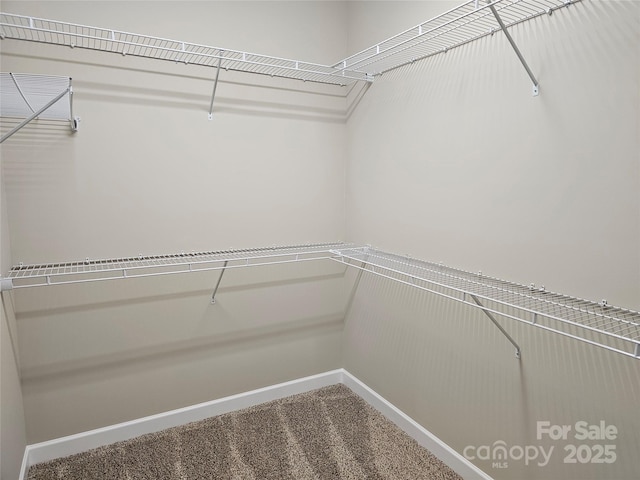 spacious closet with carpet floors