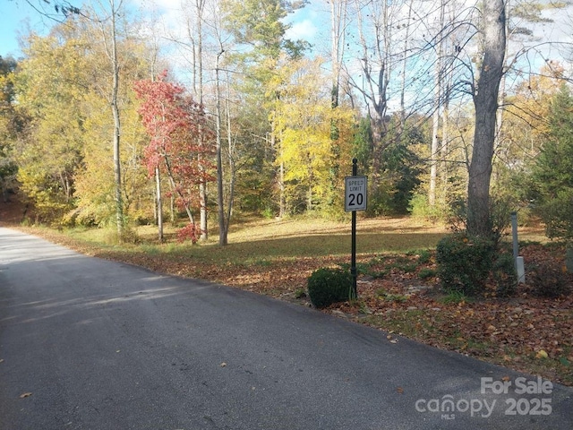 111 Benhurst Ct, Hendersonville NC, 28791 land for sale