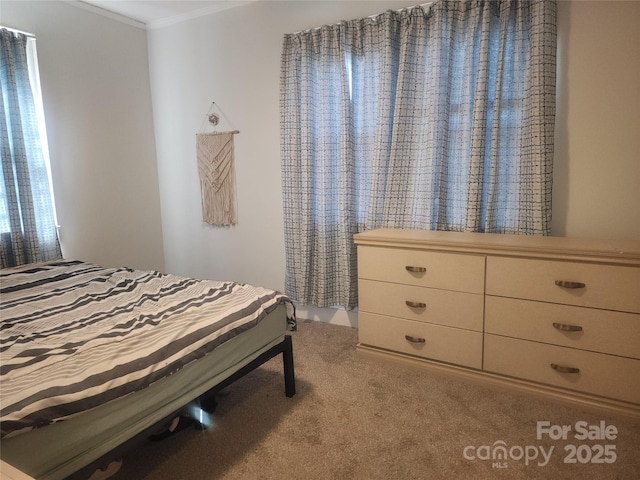 bedroom featuring crown molding and carpet floors