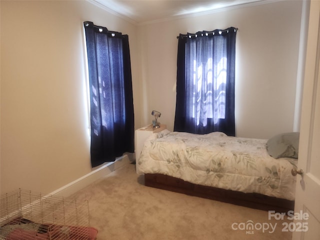 bedroom with ornamental molding and carpet floors