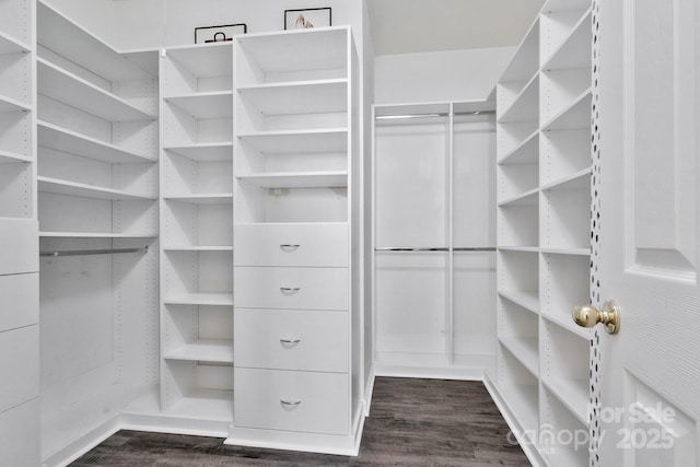 walk in closet with dark wood-type flooring