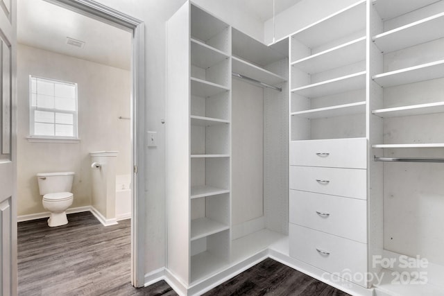 spacious closet with visible vents and dark wood-style floors