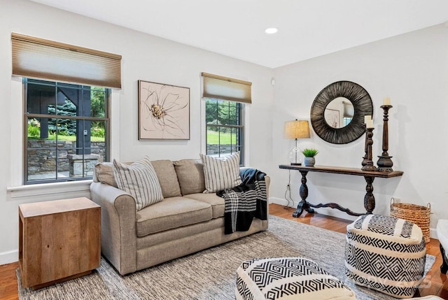 living area featuring recessed lighting, wood finished floors, and baseboards