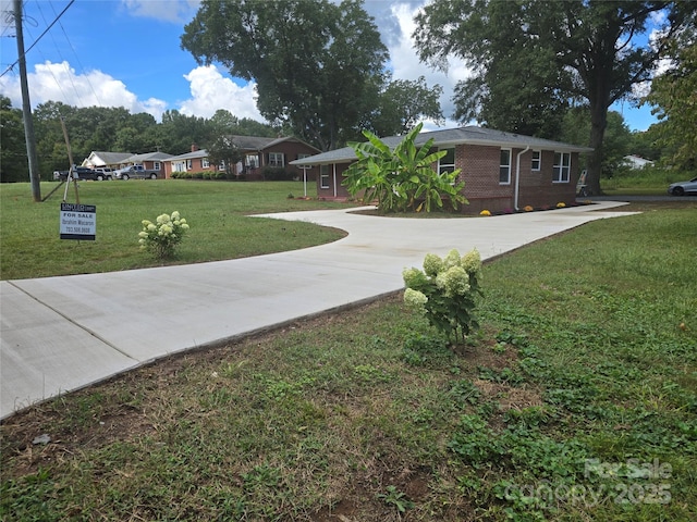 view of yard with concrete driveway