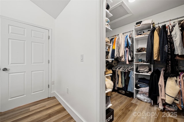 walk in closet with lofted ceiling and wood finished floors