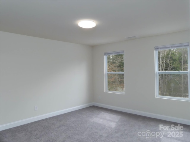 unfurnished room featuring baseboards, a wealth of natural light, and carpet floors